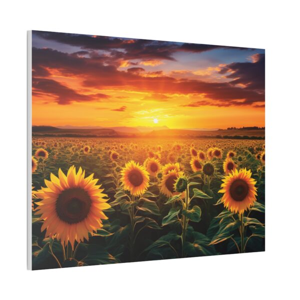 Sunflower Field Canvas Art - Vibrant Sunset Wall Decor - Image 50